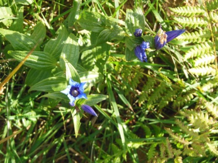 DSCN1320