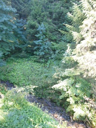 DSCN1364