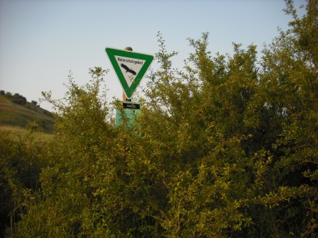 DSCF0097