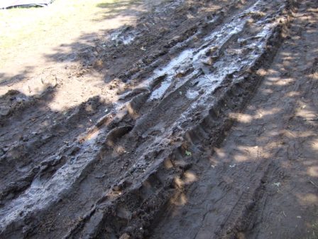 Wacken 2009 082
