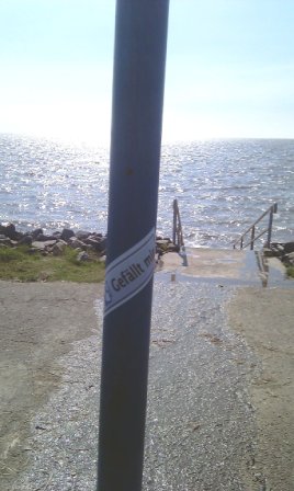 IMAG0088